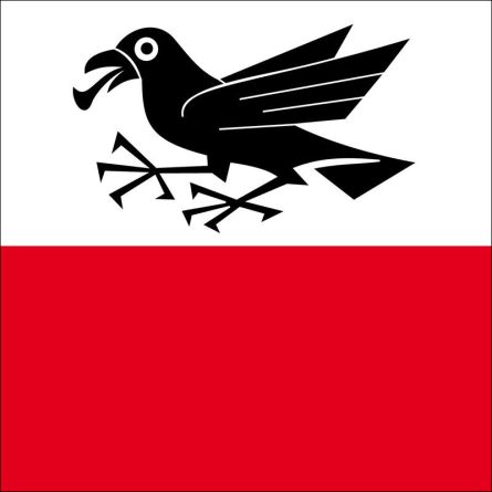 Rapperswil (BE) flag